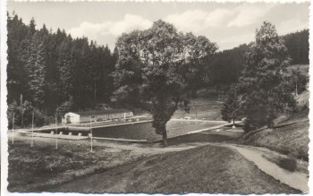 AK Lauscha Thüringen Waldbad im Steinachgrund 1967
