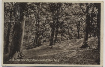 AK Foto Dippmannsdorf Kreis Belzig Im Paradies Eva-Berg Landpoststempel 1930