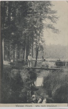 AK Dresden Weisser Hirsch Weg nach Ullersdorf 1910