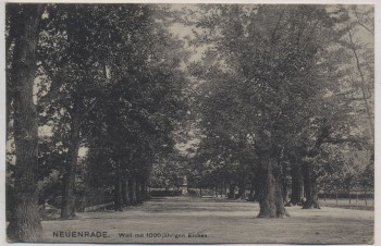 AK Neuenrade Wall mit 1000 jährigen Eichen 1921