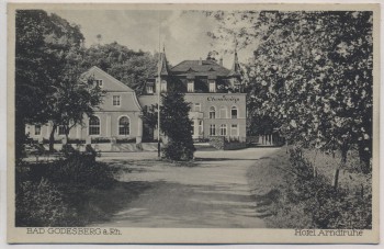 AK Bad Godesberg Hotel Arndtruhe Terrassen-Ansicht 1930