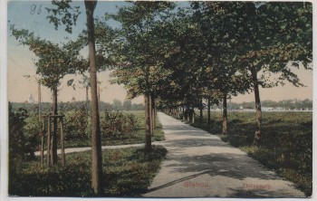 VERKAUFT !!!   AK Güstrow Philippsweg 1909