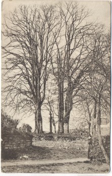 AK Das Kreuzgärtchen auf dem Stift in Kyllburg Alte Richtstätte mit Dame zensierte Post U.S.Army 1919 RAR