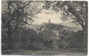 AK Cronberg Kronberg im Taunus 1913