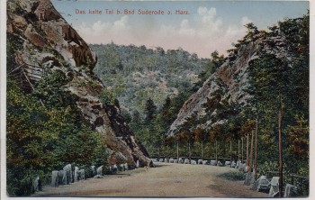 AK Bad Suderode Das kalte Tal b. Quedlinburg Harz 1913