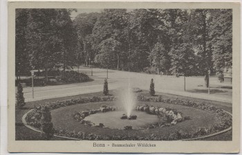 AK Bonn Baumschuler Wäldchen 1910