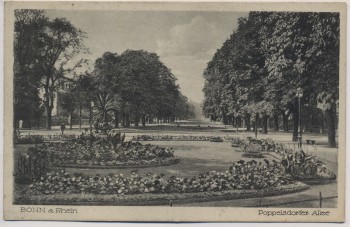 VERKAUFT !!!   AK Bonn am Rhein Poppelsdorfer Allee 1930