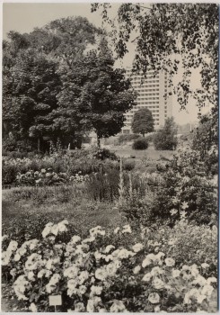 AK Foto Potsdam Freundschaftsinsel mit Interhotel 1977