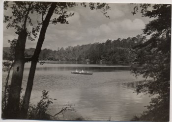 VERKAUFT !!!   AK Foto Neuglobsow Sonnenbucht am Stechlin-See b. Stechlin 1963