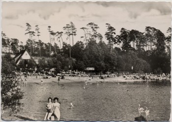 AK Foto Auto-Rast und Strandbad Seelze Blauer See 1960