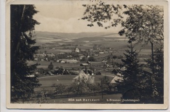 AK Foto Božanov Blick nach Barzdorf b. Braunau Broumov Sudetengau Tschechien 1940 RAR