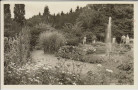 AK Foto Wald-Resstaurant Elfenborn Gartenansicht Varenholz Stemmen Rinteln Weser 1950
