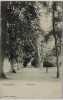AK Braunfels Lindenallee 1914 RAR