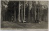 AK Ritter Toggenburg-Platz im Hagen bei Isenhagen Hankensbüttel 1907 RAR