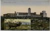 AK Brocken mit Hirsch b. Schierke Wernigerode 1910