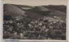 AK Wernigerode Ortsansicht 1920