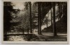 AK Foto Bad Harzburg Partie am Radau-Wasserfall 1930
