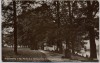 AK Foto Frankenberg in Sachsen Partie an der Harraseiche mit Harrasdenkmal 1929 RAR