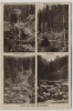 AK Mehrbild Gruß aus dem Waldnaabtal Gletschermühl Butterfaß ... b. Windischeschenbach Falkenberg 1910