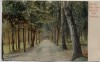 AK Hankensbüttel Die alte Allee vom Bahnhof nach Isenhagen 1910 RAR
