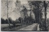 VERKAUFT !!!   AK Hankensbüttel Weg von Emmen nach Wunderbüttel 1907