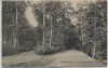 AK Hannover Eilenriede beim Neuen Haus 1909