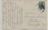 AK Putbus auf Rügen Im fürstlichen Tierpark mit Rotwild 1914
