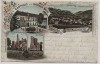 Litho Gruss aus Stecklenberg im Harz Gasthaus zum Grünen Walde bei Thale 1900
