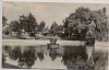 AK Foto Prettin an der Elbe Stadtpark bei Annaburg 1962