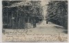AK Schleswig in Schleswig-Holstein Kolonnenweg mit Menschen 1904