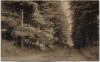 AK Flensburg Weg nach der Kupfermühle 1911 RAR