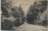 AK Vossloch Waldweg bei Barmstedt Bokholt-Hanredder 1917