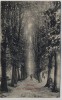 AK Wilster Allee im Colosseumgarten mit Menschen 1907 RAR