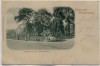 AK Gruss aus Crimmitschau Partie aus dem Bismarckhain 1902