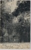 AK Gruss aus Rudolstadt Schillerhöhe 1900