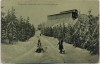 AK Oybin Rodelbahn Hochwald mit Menschen 1910