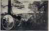 AK Meiningen Helenenhöhe mit Bismarckturm 1910