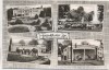 AK Frankfurt am Main Frankfurter Zoo 1960