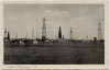 AK Nienhagen (Landkreis Celle) Ölfeld mit Kühen Niedersachsen 1935