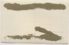 AK Foto Ihlienworth Soldat vor Fenster RAD Abteilung Wilder Jäger Wode 4/173 1935 RAR