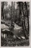 VERKAUFT !!!   AK Foto Kallies in Pommern Kalisz Pomorski Ansicht am Bach Polen 1940