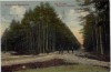 AK Gruss aus Dörverden Weg im Holze nach Diensthop mit Menschen 1915 RAR