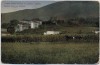 AK Niš Nischer Bad von Westen Serbien Feldpost 1915