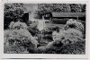 AK Bargfeld bei Innien Holstein Hanssen's Gasthof Pension Aukrug 1957