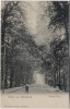 AK Gruss aus Glückstadt Haupt-Allee 1910