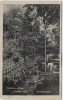 AK Cochem an der Mosel Schloss-Hotel Gartenanlage 1920