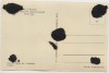 AK Foto Bad Schandau FDGB-Ferienheim Völkerfreundschaft Großer Saal 1956