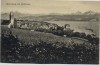 AK Meersburg am Bodensee Blick auf Stadt 1910