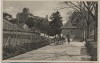 AK Meersburg am Bodensee Blick auf Schloß mit Kühen 1930