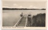 AK Bad Saarow-Pieskow Anlegestelle Erich-Weinert-Park 1956